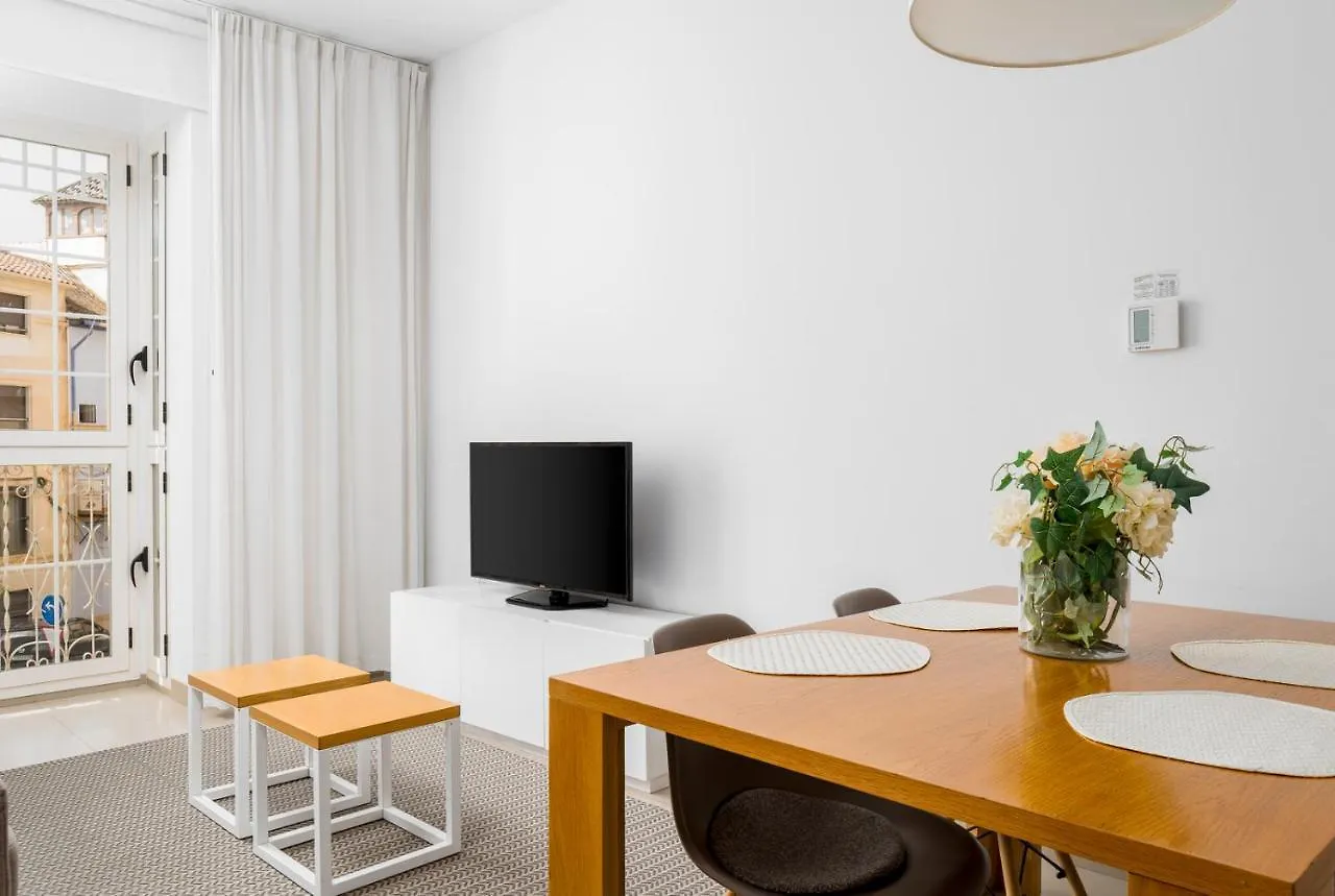 Aparthotel Suites Del Pintor Malaga